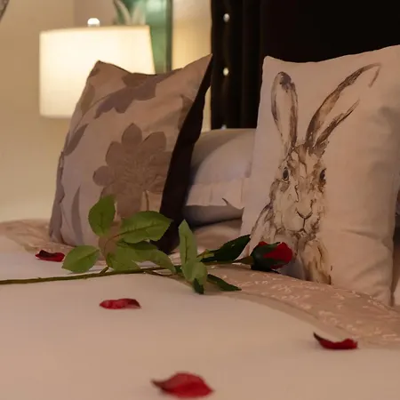 Britannia Petite - Still Rabbit - Hot Tub - Yorkshire 别墅 *