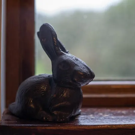 Britannia Petite Villa Selby