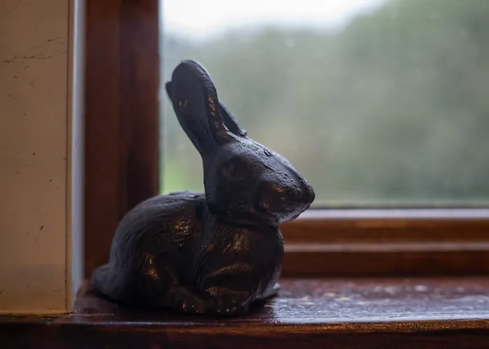 Britannia Petite - Still Rabbit - Hot Tub - Yorkshire 别墅 塞尔比